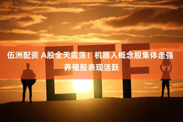 伍洲配资 A股全天震荡！机器人概念股集体走强 养殖股表现活跃