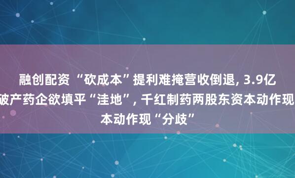 融创配资 “砍成本”提利难掩营收倒退, 3.9亿元押注破产药企欲填平“洼地”, 千红制药两股东资本动作现“分歧”